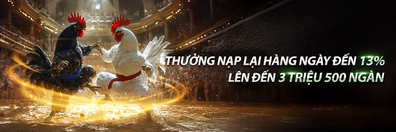 Đá gà trực tuyến K8bet với không khí sôi động và hấp dẫn